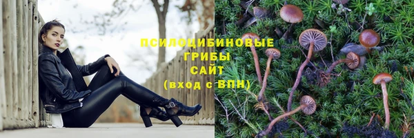 COCAINE Алзамай