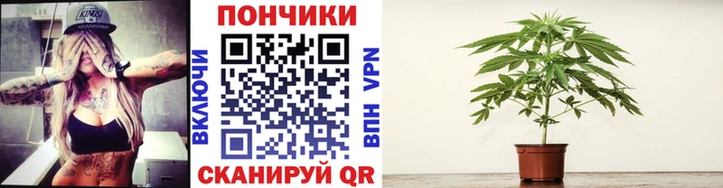 MEGA вход  Николаевск  Марихуана гибрид 
